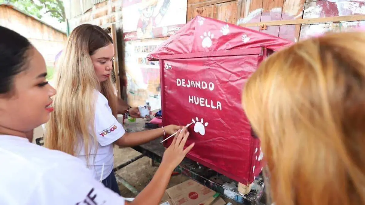 En este proyecto benéfico se encuentran participando hasta 30 jóvenes integrantes de este voluntariado